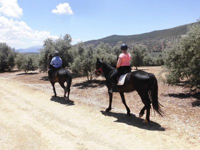 Horse Riding in Agia Napa