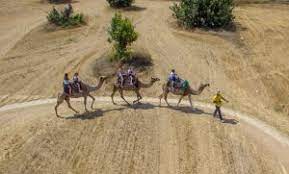 A Camel Ride