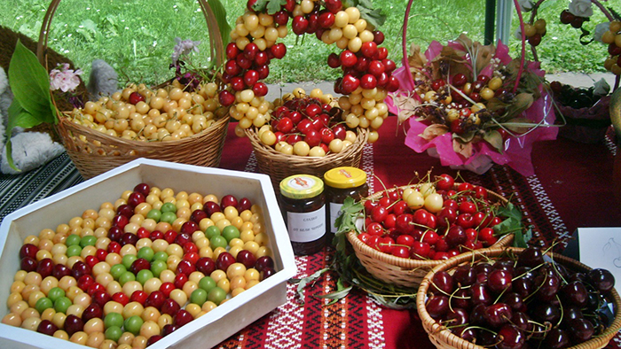 The Cherry Festival in Cyprus