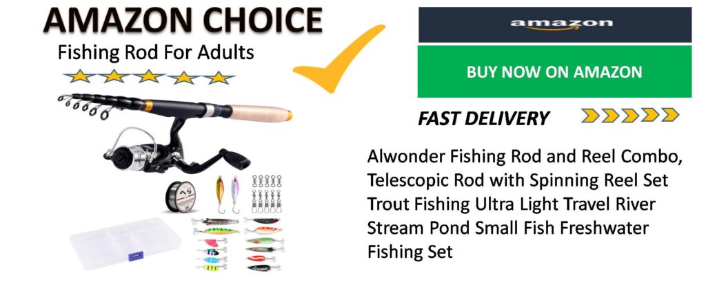 FISHING ROD