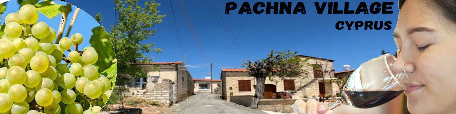 Pachna Wine Village