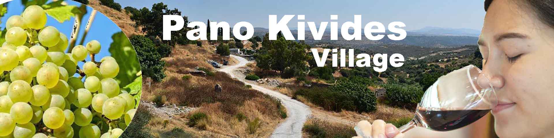 Pano Kivides Wine Village