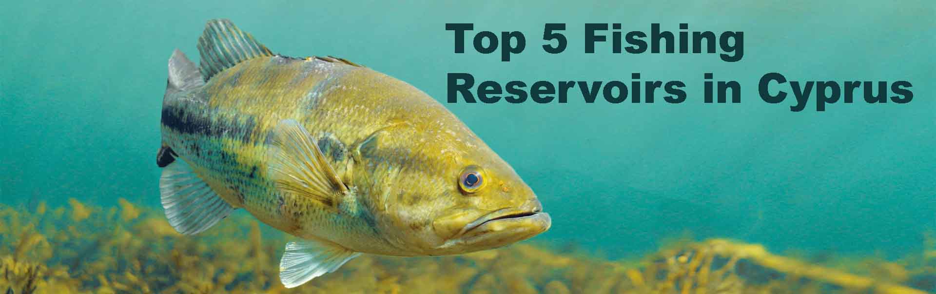 5 Best Fresh Water Fishing Reservoirs-Our Way of Life in Cyprus
