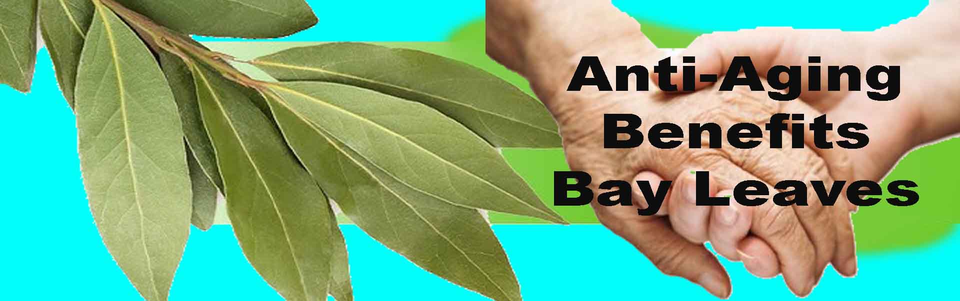Bay Leaves help against Anti Aging