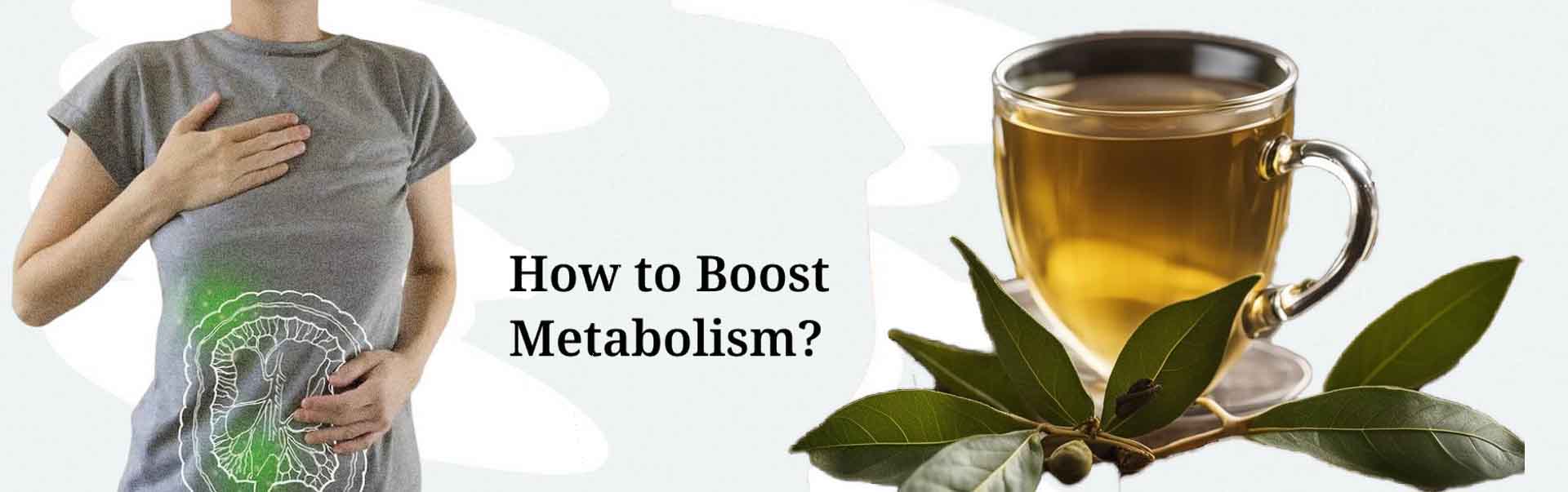 Bay Leaves Help to Lose Weight