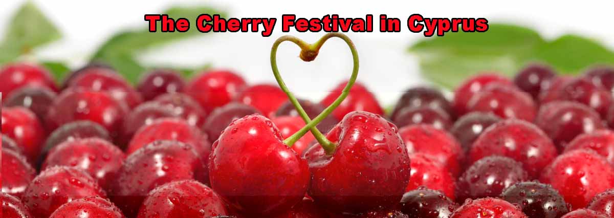 Cherry love on white background