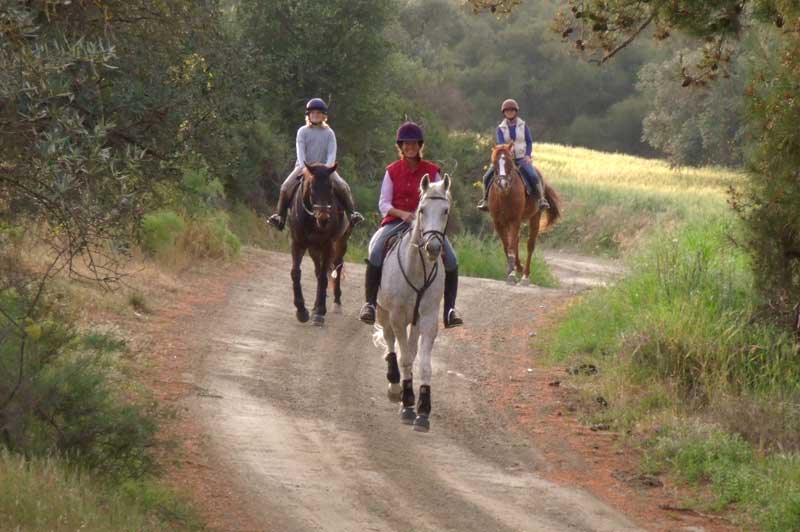 Horse Riding in Paphos