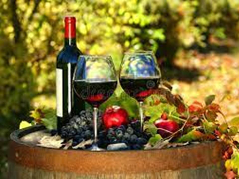 The Vineyard Festival