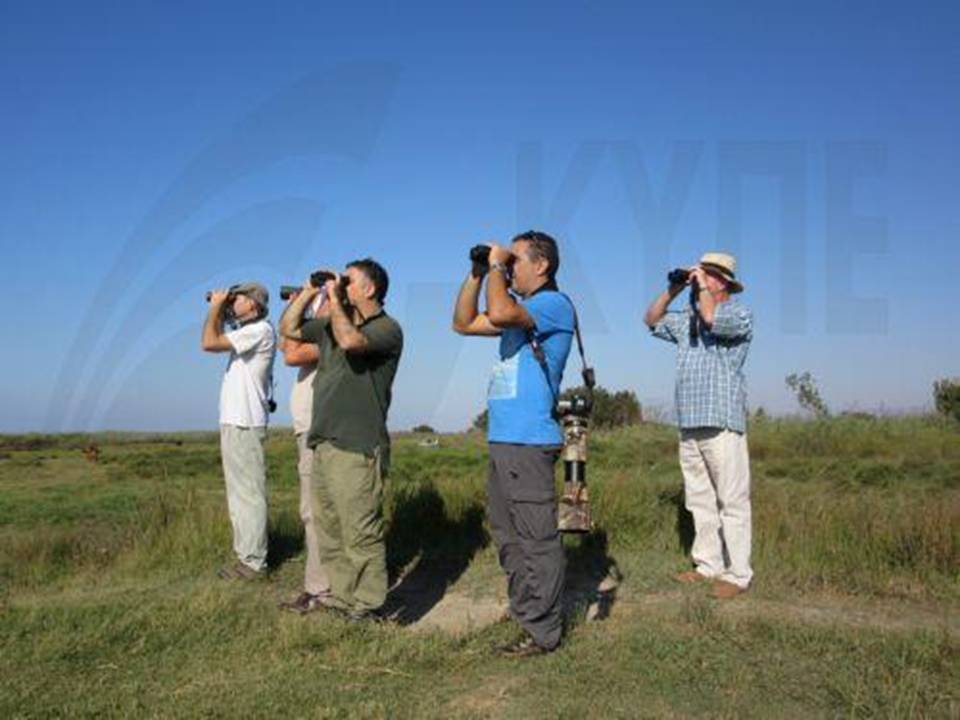 A Group of Birdwatchers in Akrotiri