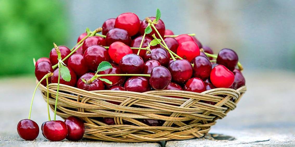 A Basket with Cherries
