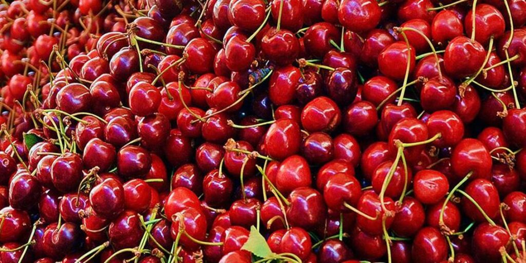 Annual Cherry Festival