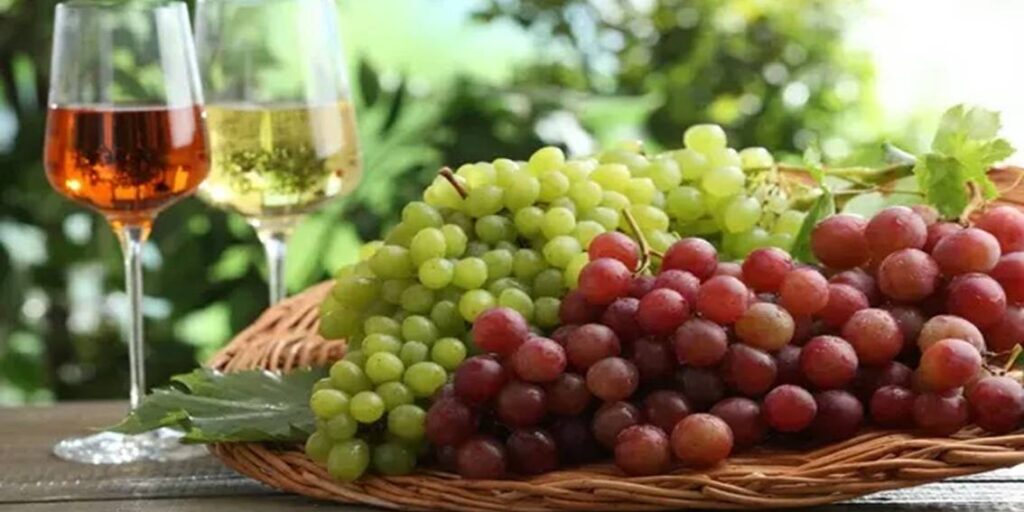 Alektora Vineyard Festival